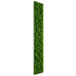 Panou vertical cu licheni stabilizați verzi 100x20 cm, vedere din stânga