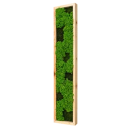 Panou vertical cu licheni verzi și mușchi închis, ramă lemn natur, 100x20 cm, vedere din dreapta