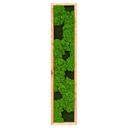 Panou vertical cu licheni verzi și mușchi închis, ramă lemn natur, 100x20 cm, vedere frontală