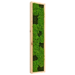 Panou vertical cu licheni verzi și mușchi închis, ramă lemn natur, 100x20 cm, vedere din stânga