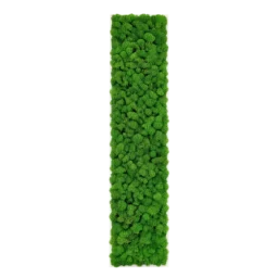 Panou vertical cu licheni stabilizați verzi 100x30 cm pe suport alb, vedere frontală