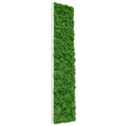 Panou vertical cu licheni stabilizați verzi 100x30 cm pe suport alb, vedere din stânga