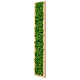 Panou vertical cu licheni stabilizați verzi 100x15 cm, ramă lemn natur, vedere din dreapta
