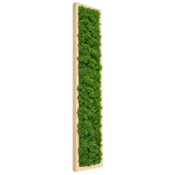 Panou vertical cu licheni stabilizați verzi 100x15 cm, ramă lemn natur, vedere din stânga