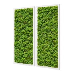 Set de două tablouri cu licheni stabilizați verzi 70x30 cm, rame albe, vedere din dreapta