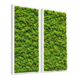 Set de două tablouri cu licheni stabilizați verzi 70x30 cm, rame albe, vedere din stânga