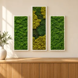 Set de trei tablouri cu licheni stabilizați, unul 100x30 cm și două 70x30 cm, rame albe, vedere pe perete