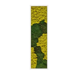 Tablou vertical 100x30 cm cu licheni galben-verzui și mușchi plat, ramă albă, vedere frontală