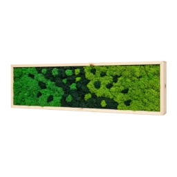 Tablou orizontal cu licheni stabilizați în nuanțe de verde, ramă din lemn natur, 100x30 cm, vedere din dreapta