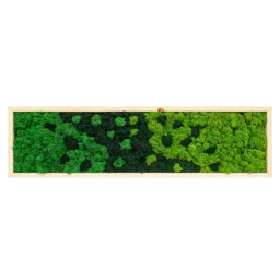 Tablou orizontal cu licheni stabilizați în nuanțe de verde, ramă din lemn natur, 100x30 cm, vedere frontală