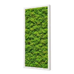 Tablou vertical cu licheni stabilizați verzi 70x30 cm, ramă albă, vedere din dreapta