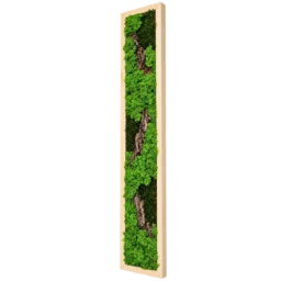 Tablou vertical cu licheni verzi și scoarță naturală 100x15 cm, ramă lemn natur, vedere din dreapta