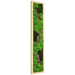 Tablou vertical cu licheni verzi și scoarță naturală 100x15 cm, ramă lemn natur, vedere din stânga