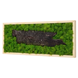 Tablou orizontal cu licheni verzi și scoarță lungă centrală, ramă lemn natur, 70x30 cm, vedere din dreapta