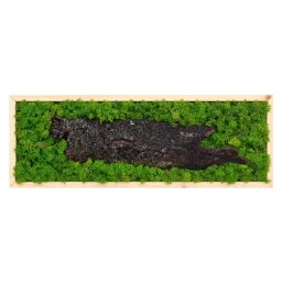 Tablou orizontal cu licheni verzi și scoarță lungă centrală, ramă lemn natur, 70x30 cm, vedere frontală