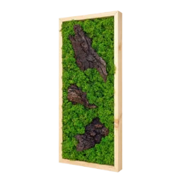 Tablou vertical cu licheni verzi și trei bucăți de scoarță, ramă lemn natur, 70x30 cm, vedere din dreapta