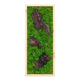 Tablou vertical cu licheni verzi și trei bucăți de scoarță, ramă lemn natur, 70x30 cm, vedere frontală