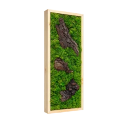 Tablou vertical cu licheni verzi și trei bucăți de scoarță, ramă lemn natur, 70x30 cm, vedere din stânga