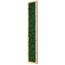 Tablou vertical cu licheni verde închis 100x15 cm, ramă lemn natur, vedere din dreapta