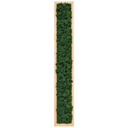 Tablou vertical cu licheni verde închis 100x15 cm, ramă lemn natur, vedere frontală