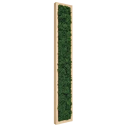 Tablou vertical cu licheni verde închis 100x15 cm, ramă lemn natur, vedere din stânga