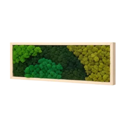 Tablou cu licheni stabilizați verde, verde închis și olive, ramă lemn natur, 70x30 cm, vedere din dreapta