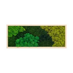 Tablou cu licheni stabilizați verde, verde închis și olive, ramă lemn natur, 70x30 cm, vedere frontală