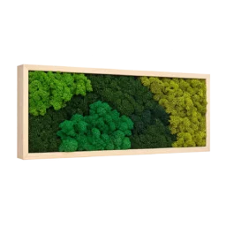Tablou cu licheni stabilizați verde, verde închis și olive, ramă lemn natur, 70x30 cm, vedere din stânga