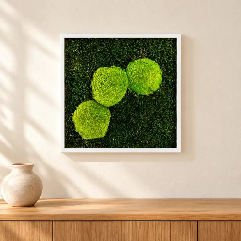 Tablou 30x30 cm cu trei inserții de mușchi bombat verde și ramă albă, vedere pe perete