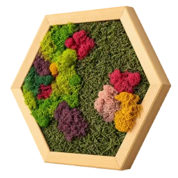 Hexagon cu licheni colorați și mușchi verde, ramă din lemn 30×25 cm – vedere laterală dreapta