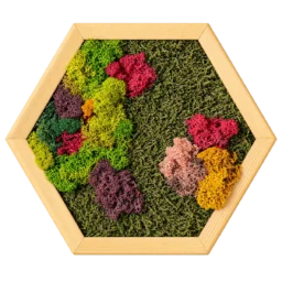 Hexagon cu licheni colorați și mușchi verde, ramă din lemn 30×25 cm – vedere frontală