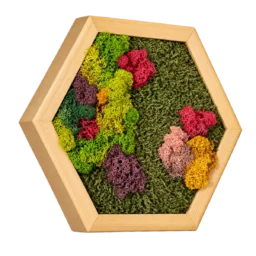 Hexagon cu licheni colorați și mușchi verde, ramă din lemn 30×25 cm – vedere laterală stânga