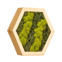 Decor hexagon cu licheni galben-verzui și mușchi verde, ramă din lemn 30×25 cm – vedere laterală stânga