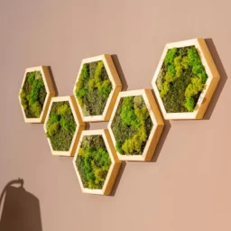 decor interior hexagon cu licheni stabilizați