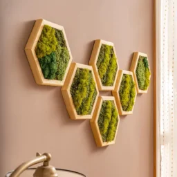 hexagon decorativ cu licheni stabilizați pentru perete