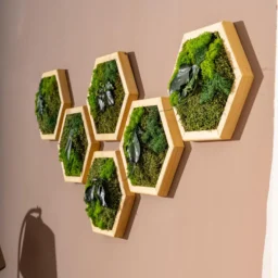 tablou hexagon licheni naturali stabilizați decor modern