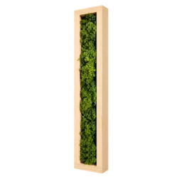 Tablou vertical cu licheni verzi în ramă adâncă din pin natur 100×15 cm – vedere laterală dreapta