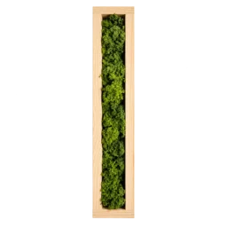 Tablou vertical cu licheni verzi în ramă adâncă din pin natur 100×15 cm – vedere frontală