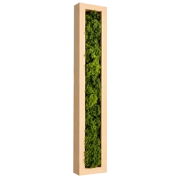 Tablou vertical cu licheni verzi în ramă adâncă din pin natur 100×15 cm – vedere laterală stânga