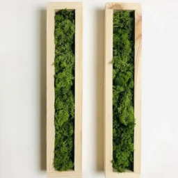 tablou verde din licheni naturali stabilizați pentru perete