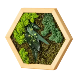 Tablou hexagon din licheni stabilizați cu ramă din lemn natur, văzut din dreapta fără fundal