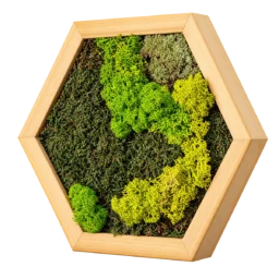 Tablou hexagon cu licheni verzi, mușchi și ramă din lemn 30×25 cm – vedere laterală dreapta