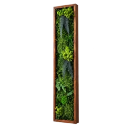 Tablou vertical cu mușchi verde și ferigi, ramă maro 100×15 cm – vedere laterală dreapta