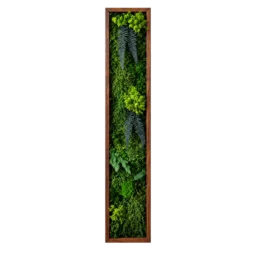 Tablou vertical cu mușchi verde și ferigi, ramă maro 100×15 cm – vedere frontală