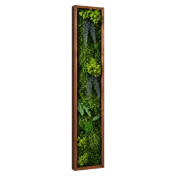 Tablou vertical cu mușchi verde și ferigi, ramă maro 100×15 cm – vedere laterală stânga