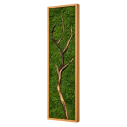 Tablou vertical cu licheni verzi și ramură naturală, ramă din lemn 100×30 cm – vedere laterală dreapta