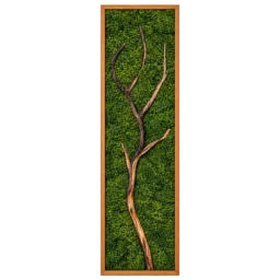 Tablou vertical cu licheni verzi și ramură naturală, ramă din lemn 100×30 cm – vedere frontală