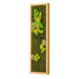 Tablou vertical cu licheni verzi și galben-verzui pe mușchi, ramă lemn 100×20 cm – vedere laterală dreapta