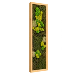 Tablou vertical cu licheni verzi și galben-verzui pe mușchi, ramă lemn 100×20 cm – vedere laterală stânga