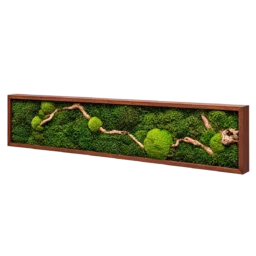 Tablou orizontal cu mușchi verde și lemn natural, ramă maro 100×20 cm – vedere laterală dreapta